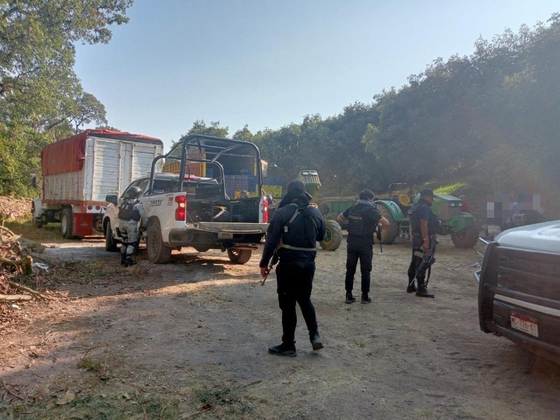 Detienen a 14 implicados en robo de aguacate