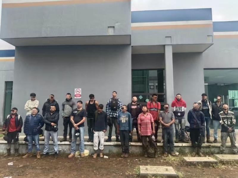 Detienen a 20 por robo de aguacate de huerta en Uruapan