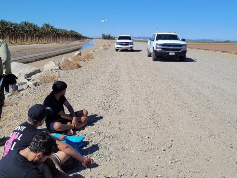 Detienen a cuatro indocumentados en Yuma, Arizona