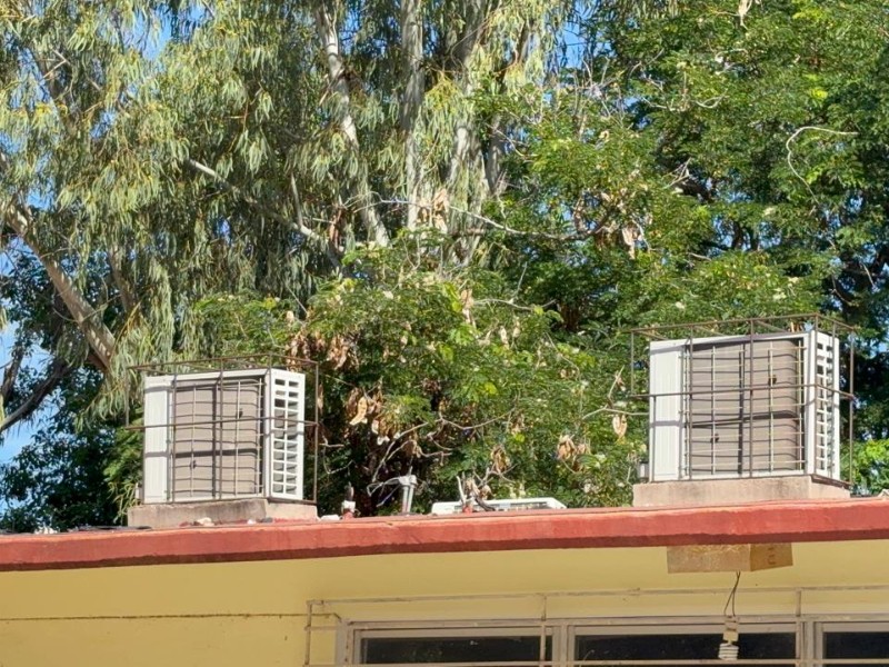 Detienen a presunto responsable de robo de cableado en primaria Francisco Villa