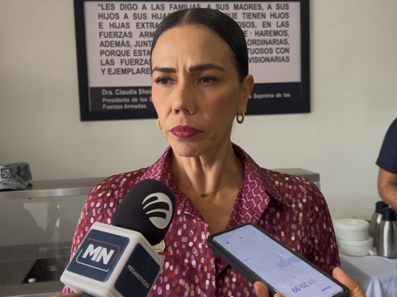 Detienen a presuntos responsables de robo de vehículos: Liz Tapia