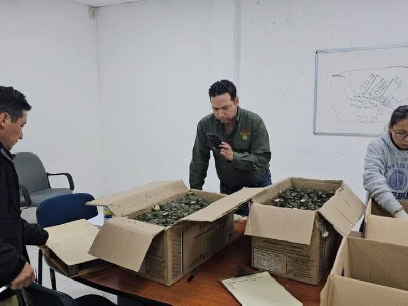 Detienen a sujeto con miles de tortugas jicoteas
