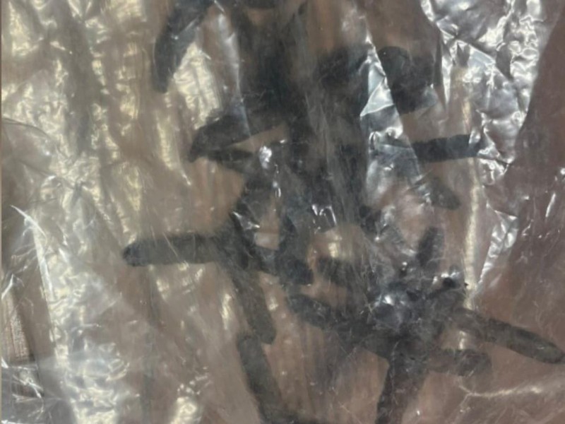 Detienen a sujeto con ponchallantas y presunta marihuana en Mazatlán