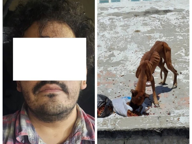 Detienen a sujeto por maltrato a un perro en Guadalajara