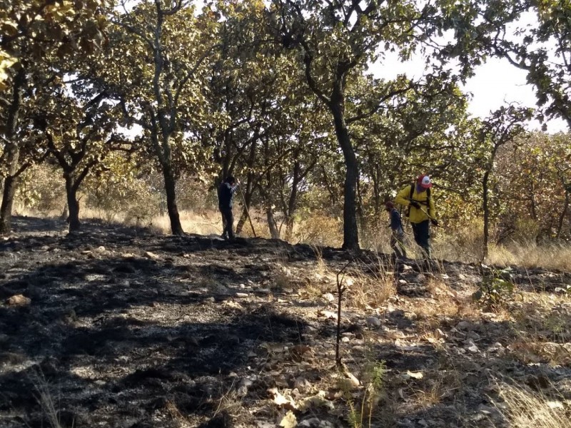 Vinculan a proceso a responsable de incendios en Bosque Nixticuil