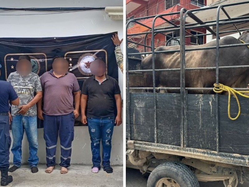 Detienen a tres presuntos abigeos tras persecución en El Espinal