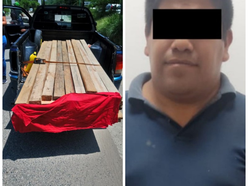 Detienen a una persona por ecocidio en Chiapa de Corzo