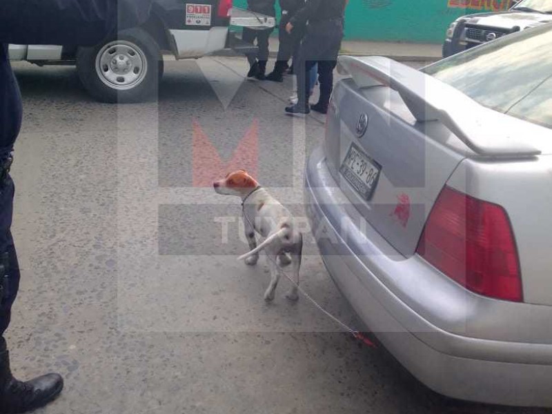 Detienen a una persona por maltrato animal en Tuxpan