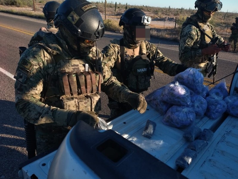 Detienen a una persona y aseguran diverso material ilícito en Hermosillo