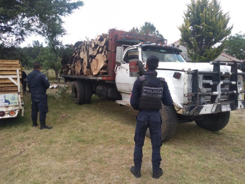 Detienen a uno en posesión de madera ilegal