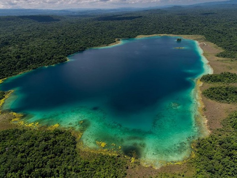 Devastación amenaza Biósfera Montes Azules