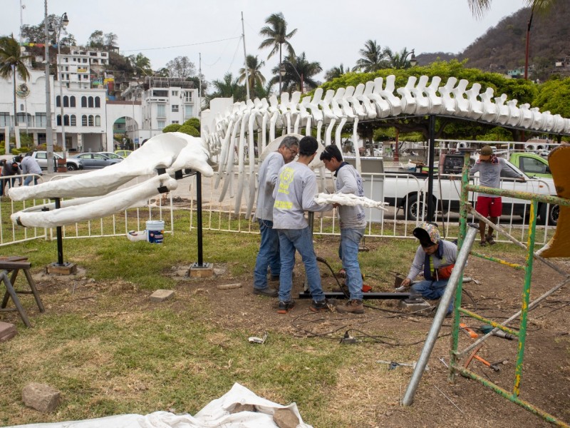Develan montaje escultórico del esqueleto de ballena jorobada en Manzanillo