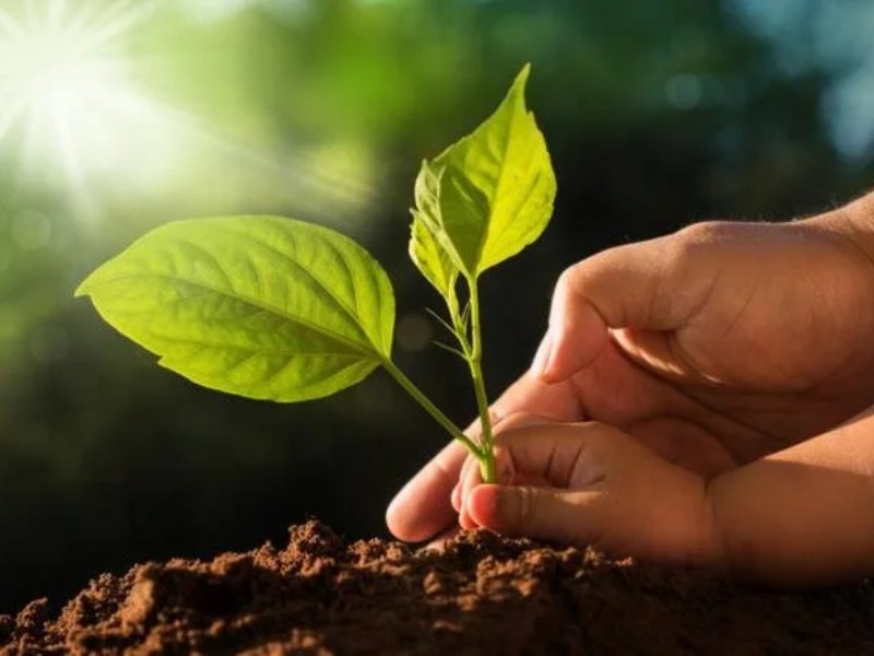 Día de la Conciencia Ambiental: un llamado a proteger nuestro planeta