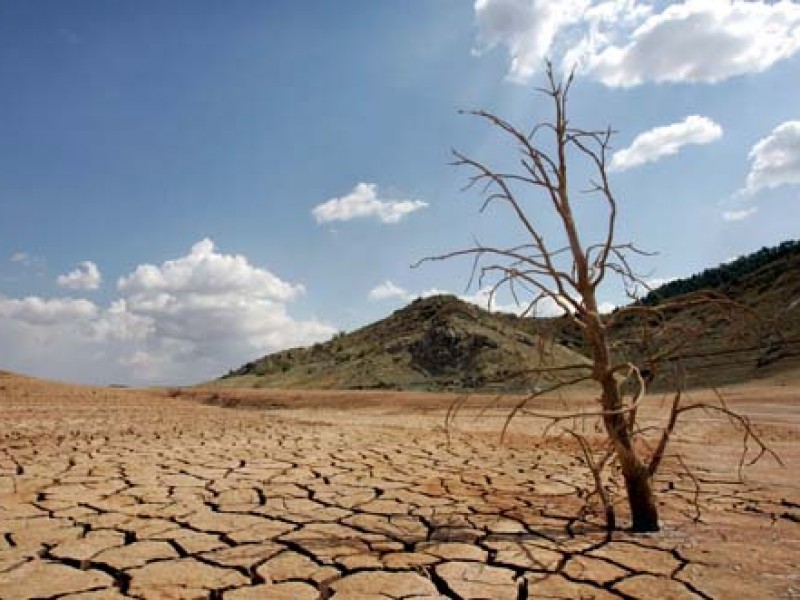 Día de Lucha contra la Desertificación y la Sequía