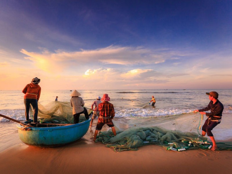 Día Internacional de la Lucha Contra la Pesca Ilegal