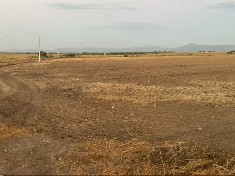 Día mundial contra la desertificación expone gravedad del problema