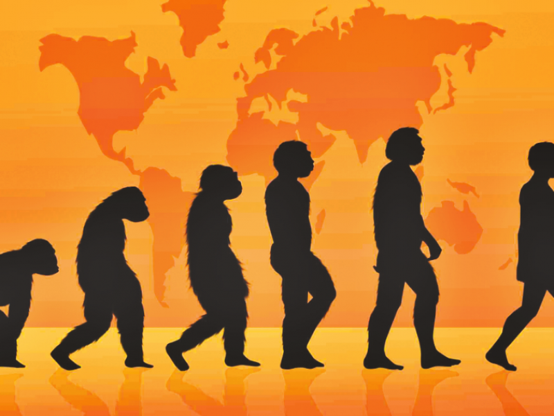 Día mundial de la evolución: 24 de noviembre