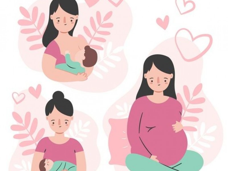 Día Nacional de la Salud Materna y Perinatal