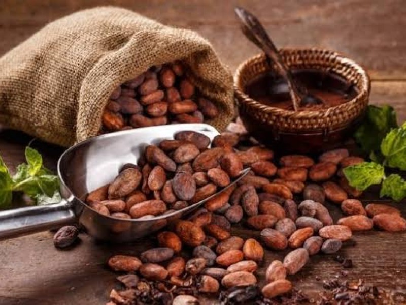 DÍA NACIONAL DEL CACAO