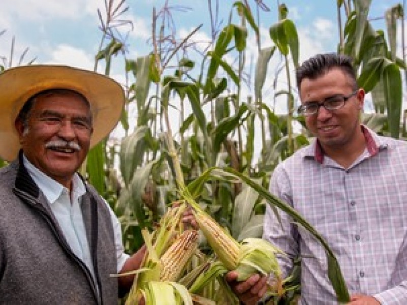 Días de pago de productores del Bienestar Veracruz