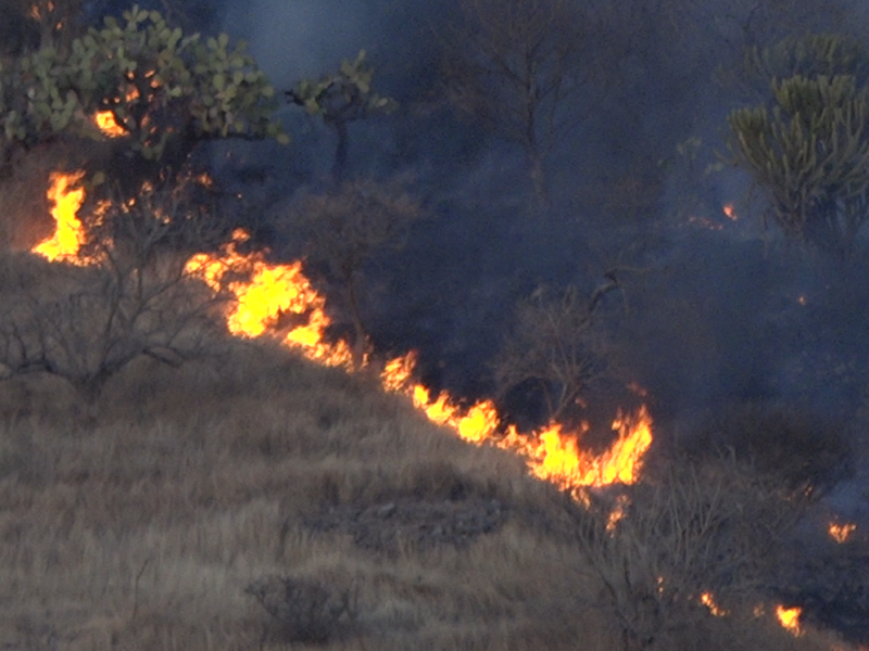 Diciembre, mes donde incrementan drásticamente incendios de pastizales