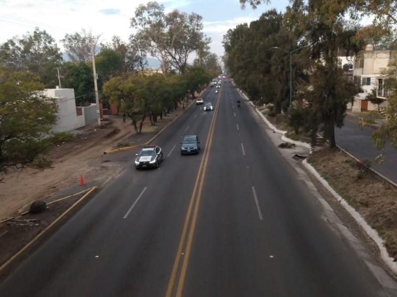 Dictaminan 92 árboles más para su retiro