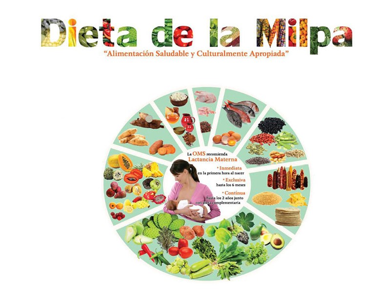 Dieta de la milpa, opción nutritiva y económica