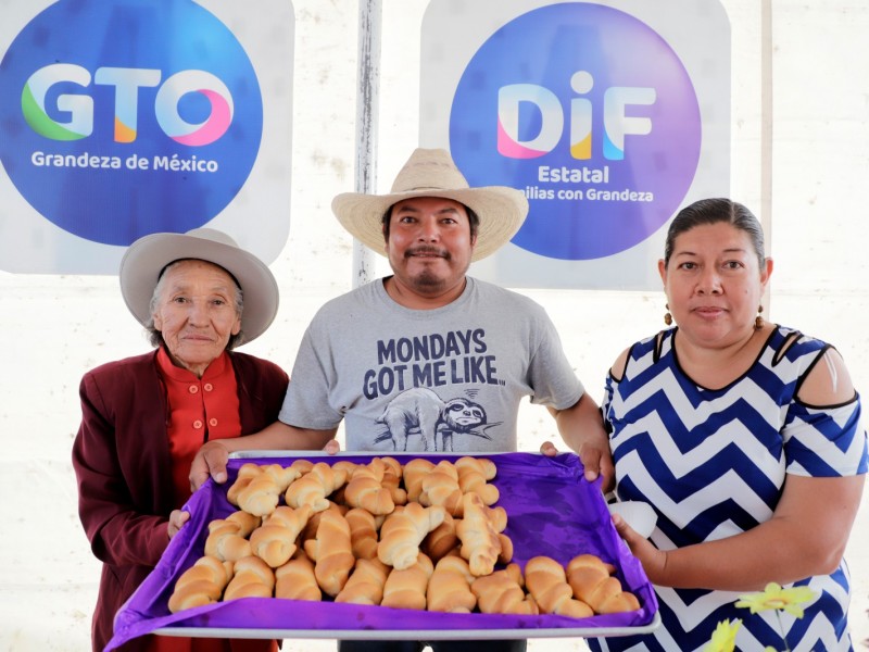 DIF Estatal Impulsa el Desarrollo de las Mujeres Guanajuatenses.