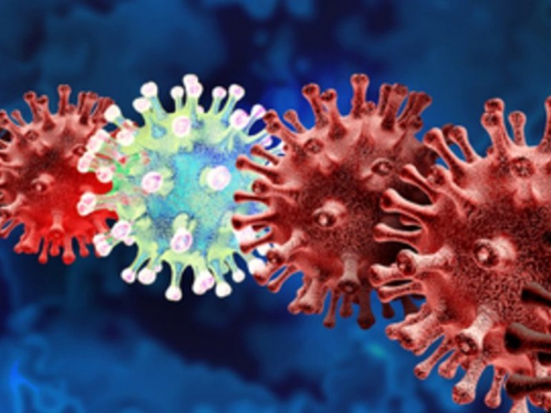 Diferencia entre variantes de COVID19