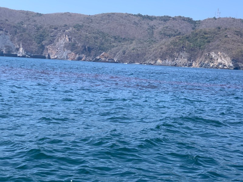 Dimaren descarta presencia de marea roja en Zihuatanejo