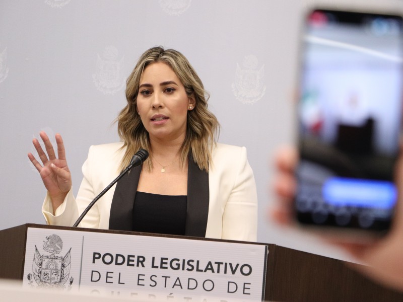 Diputada busca acción de inconstitucionalidad