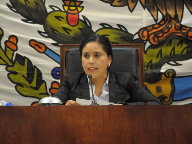 Diputada de Morena convoca a organizarse ante inseguridad