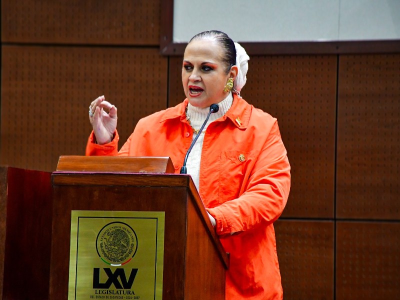 Diputada de Movimiento Ciudadano propone comparecencias de Seguridad Pública y Vial