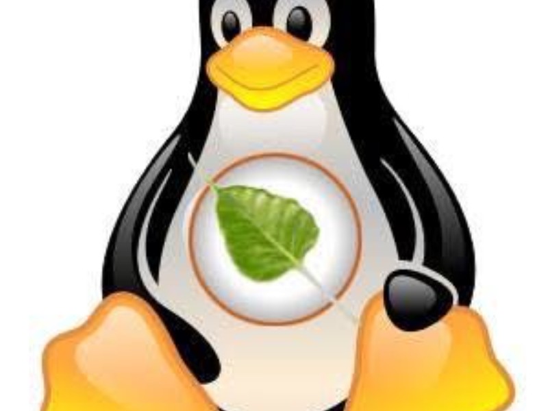 Diputada del PT denuncia incertidumbre en la continuidad del programa Escuelas Linux