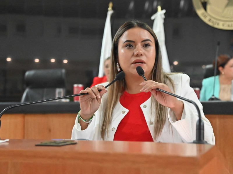 Diputada Guadalupe Vázquez insiste en eliminar el fuero