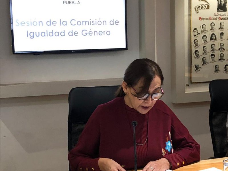 Diputada presenta nuevamente iniciativa sobre aborto