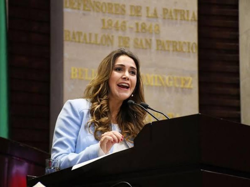 Diputada solicita parar a candidatos violentos