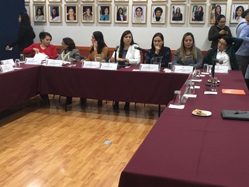 Diputadas piden análisis antes de desaparecer IJM