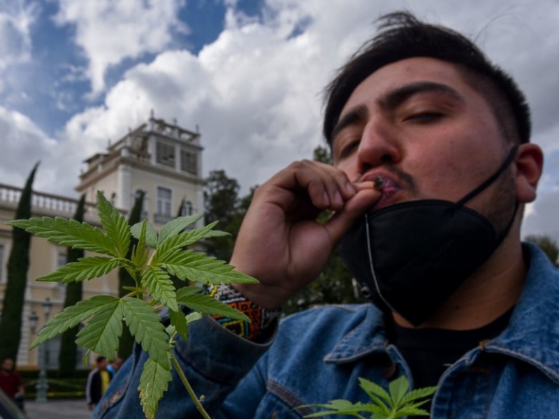 Diputados avalan en lo general uso lúdico de marihuana