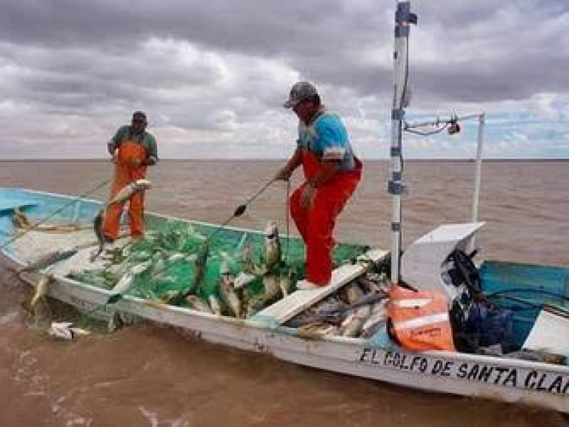 Diputados de MORENA, rechazan apoyar a pescadores del Golfo