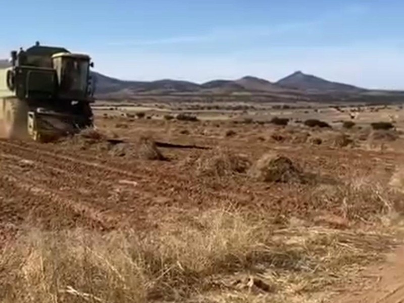 Discrepan productores y autoridades por centros de acopio