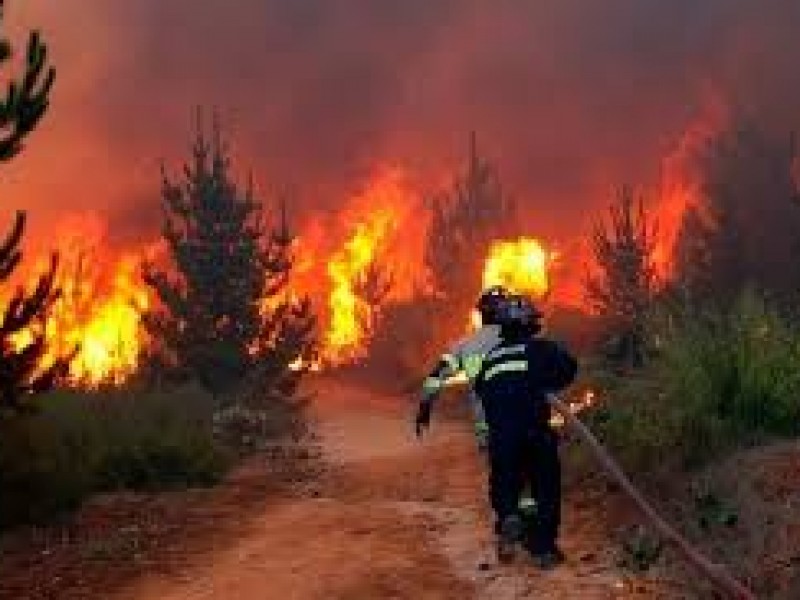 Disminuirán incendios forestales por quema de basura