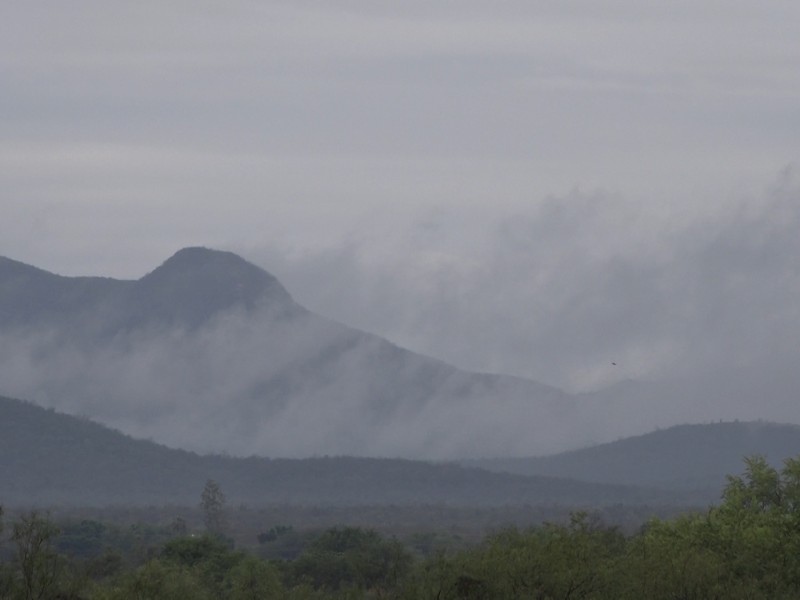 Disminuirán temperaturas por frente frío número 21