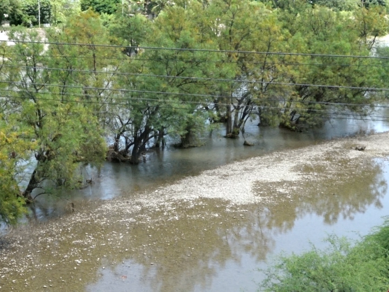 Disminuye 50% caudal del Río Tehuantepec