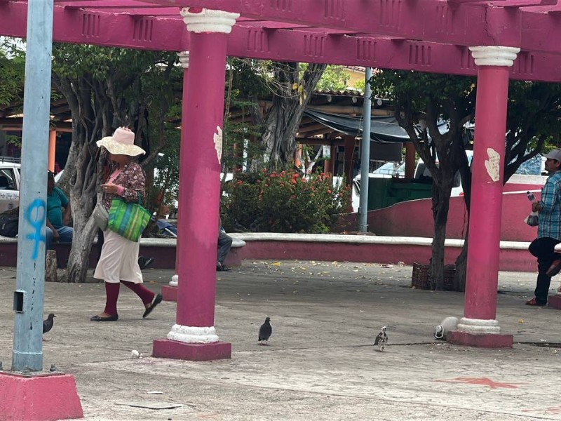 Disminuye el acoso en espacios públicos de Zihuatanejo