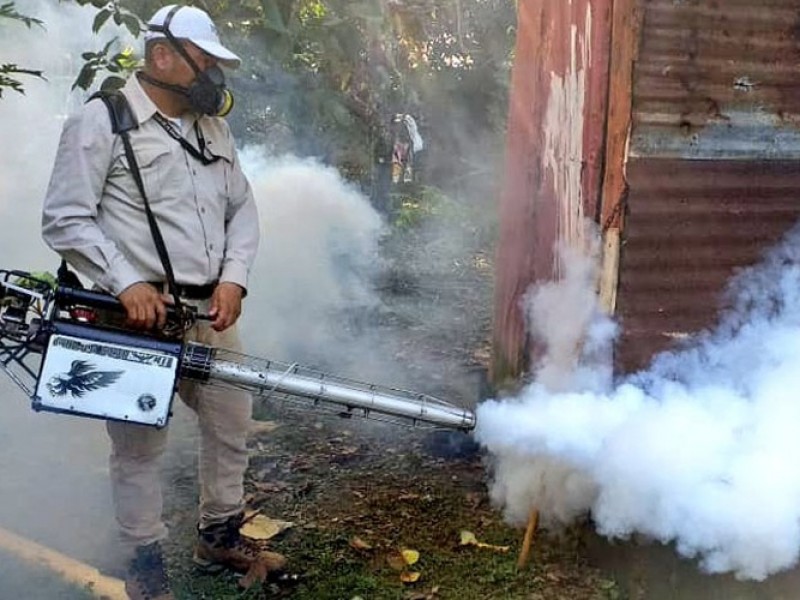 Disminuye incidencia de casos de dengue en Chiapas