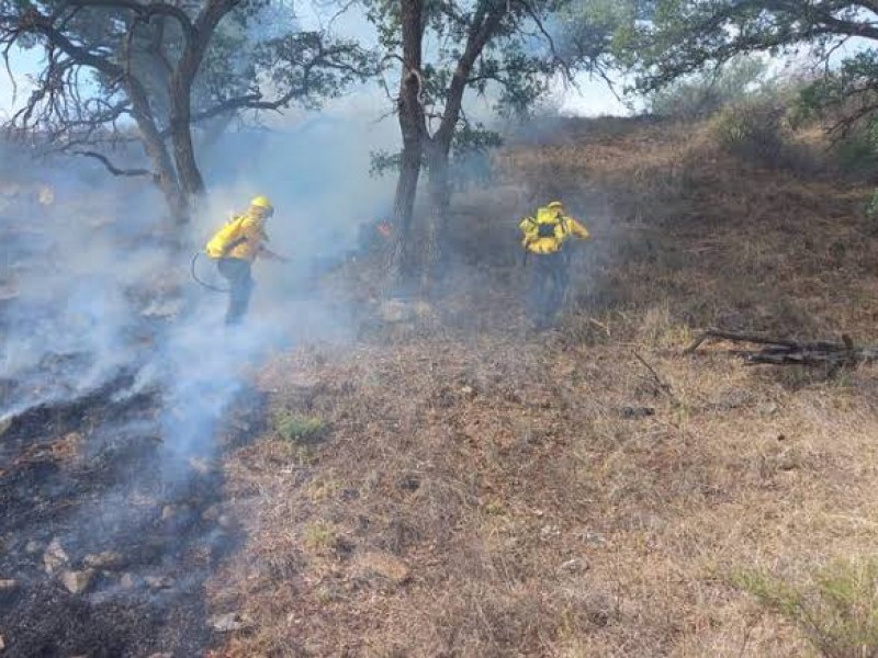 Disminuye incidencia de incendios de pastizales por temporal de lluvias