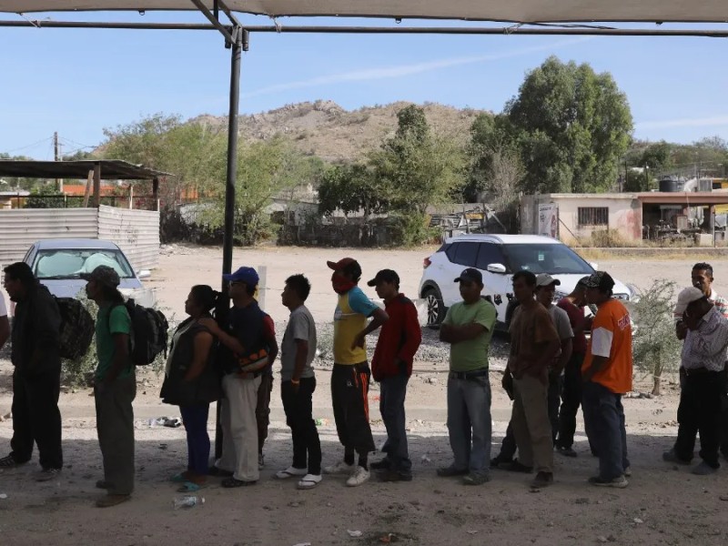 Disminuye migración en Sonora