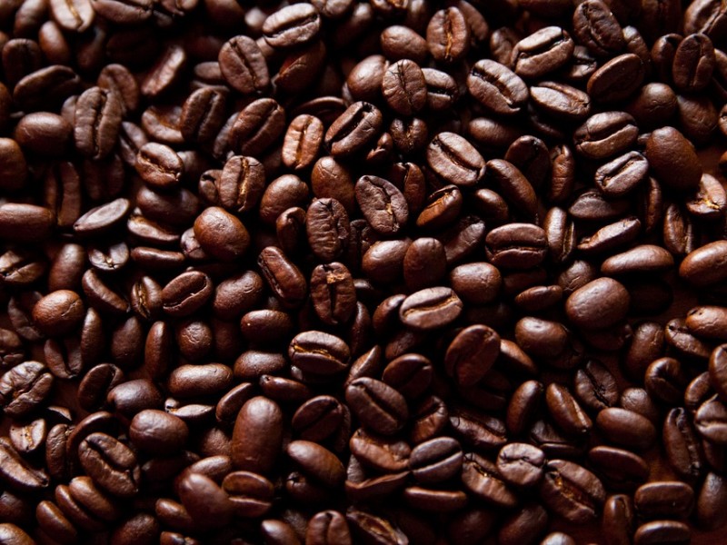 Disminuye producción de café en Colima