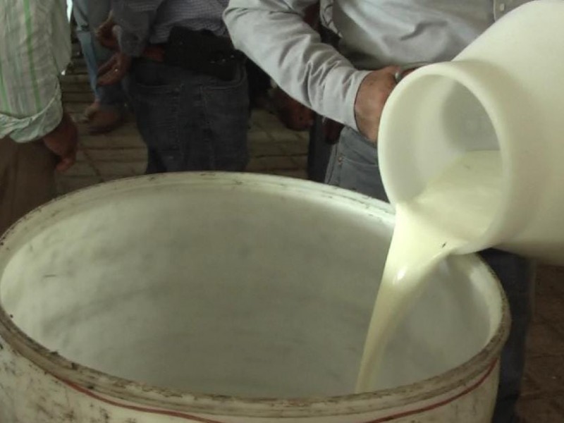 Disminuye productores lecheros en Tuxpan